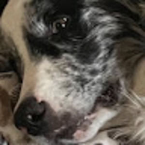 Meet your Posher, Mathew